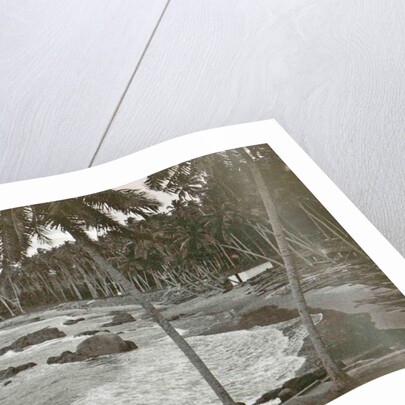 Ceylon, palm beach Mount Levinia in Colombo, Sri Lanka by Anonymous