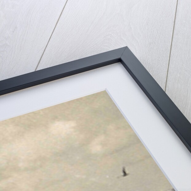 Perim, the port, Yemen by Anonymous