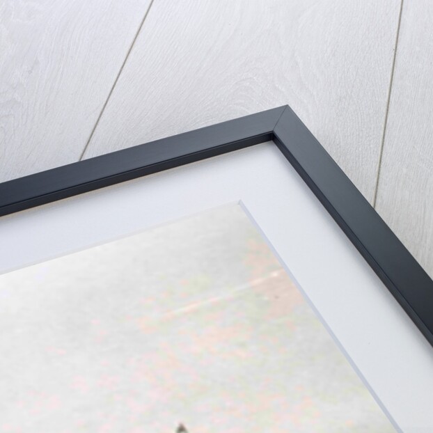 Port Said, Suez Canal pier with the Prince of the Netherlands by Anonymous