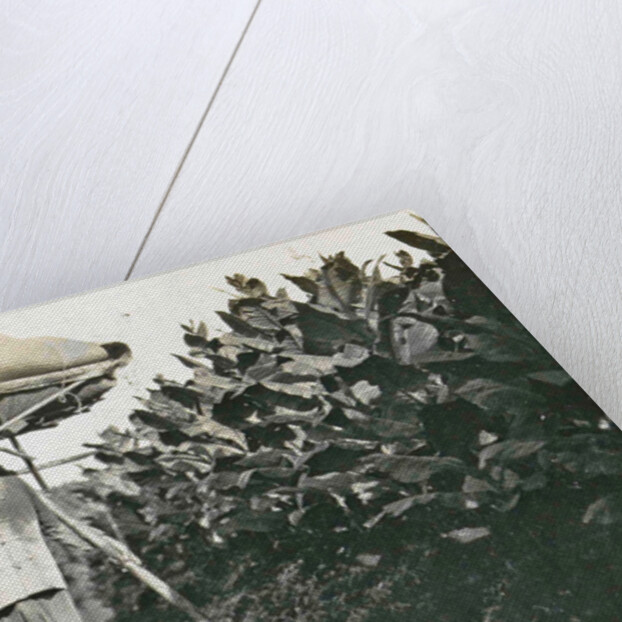 Sumatra indonesia, coolie with pikolan, Indonesia by Anonymous