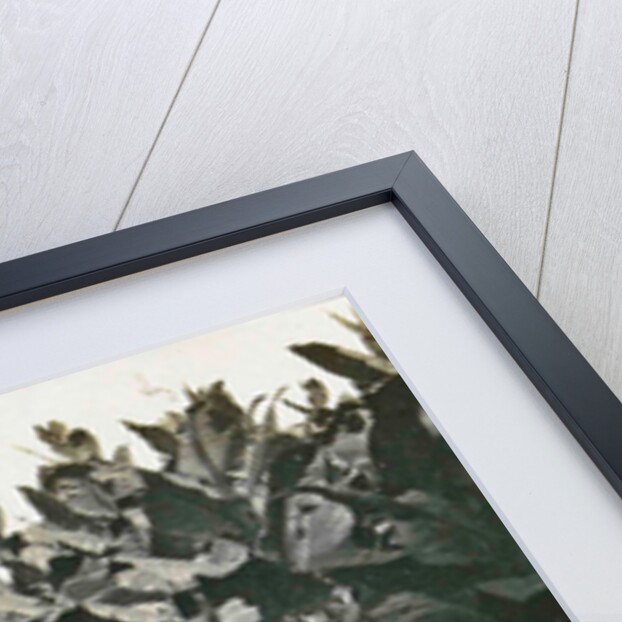 Sumatra indonesia, coolie with pikolan, Indonesia by Anonymous