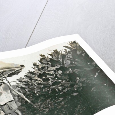 Sumatra indonesia, coolie with pikolan, Indonesia by Anonymous