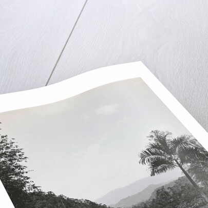 Batang Toro, Loeboek Rajah, Indonesia by Anonymous