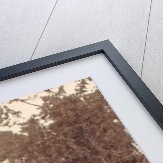 Dutch East Indies, indonesia, western gate of Hataram during Lombok Expedition 1894 by Anonymous