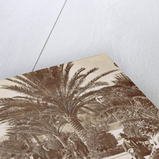 San Remo Italy by Promenade