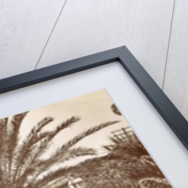 San Remo Italy by Promenade