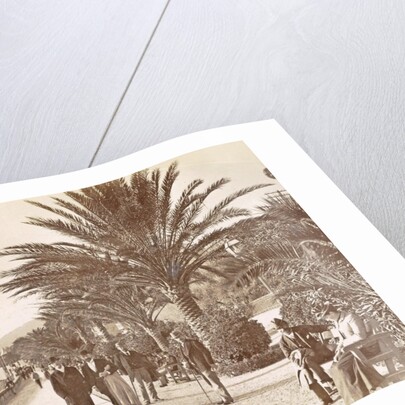 San Remo Italy by Promenade