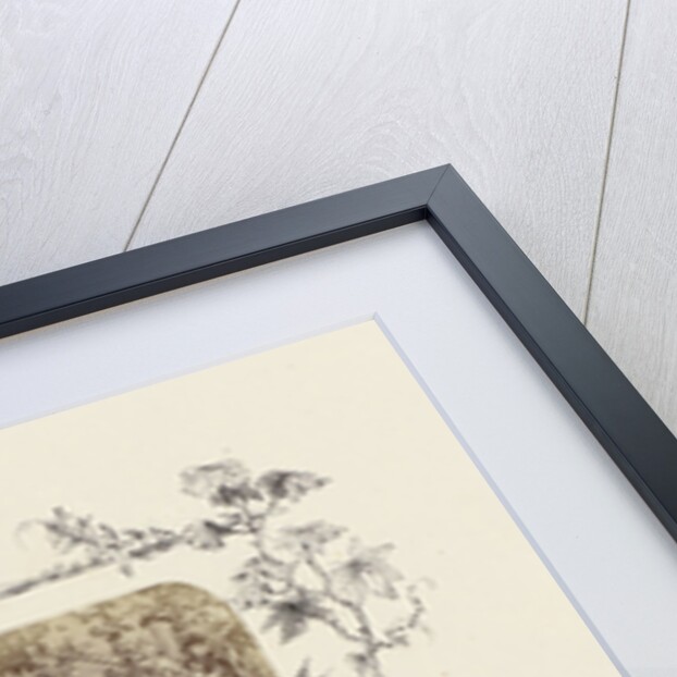 Portrait of Alexandra, Princess of Wales with child, bordered by drawing flora around fencing by Anonymous