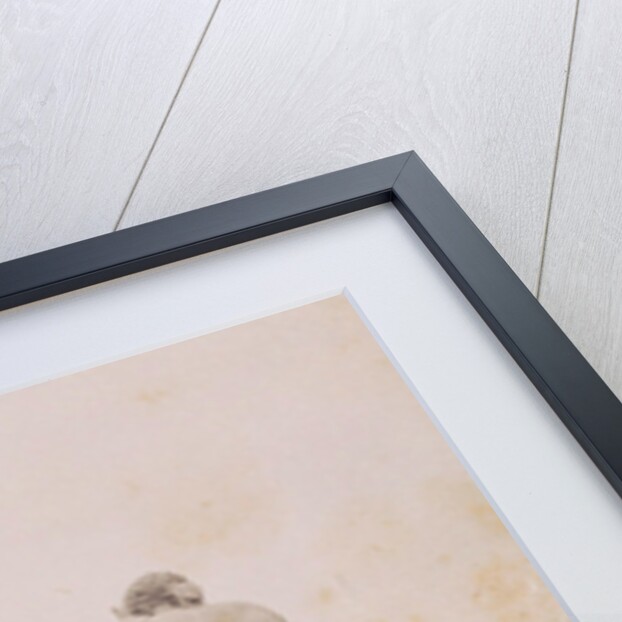 Picture Group at the foot of the Albert Memorial in London UK: Africa by F.G.O. Stuart