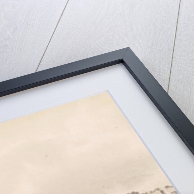 Aquarium Clock Tower Brighton, waiting beside horse carriages UK by Anonymous