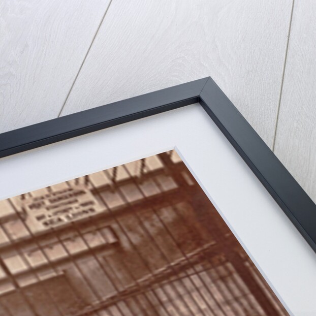 Lattice cage with lions and warning signs in the aquarium Brighton UK by Anonymous
