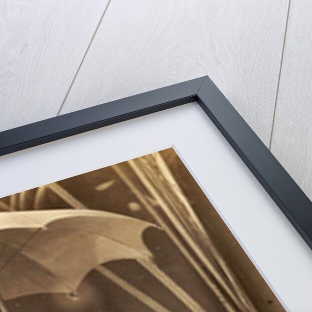 Picture of two children under an umbrella in the midst of plants, exhibited at the Paris, France World Exhibition in 1889 by Anonymous