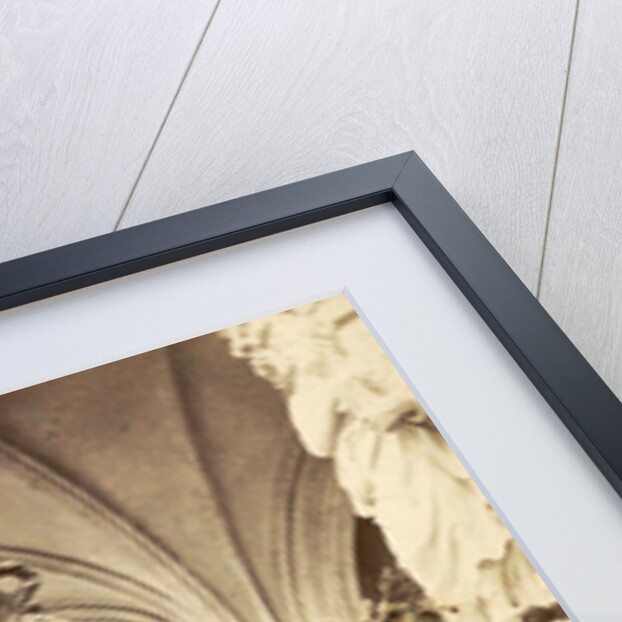 Pulpit in the Cathedral of Saint Michael and Saint Gudula, Sint-Michiel en Sint-Goedele in Brussels Belgium by Anonymous