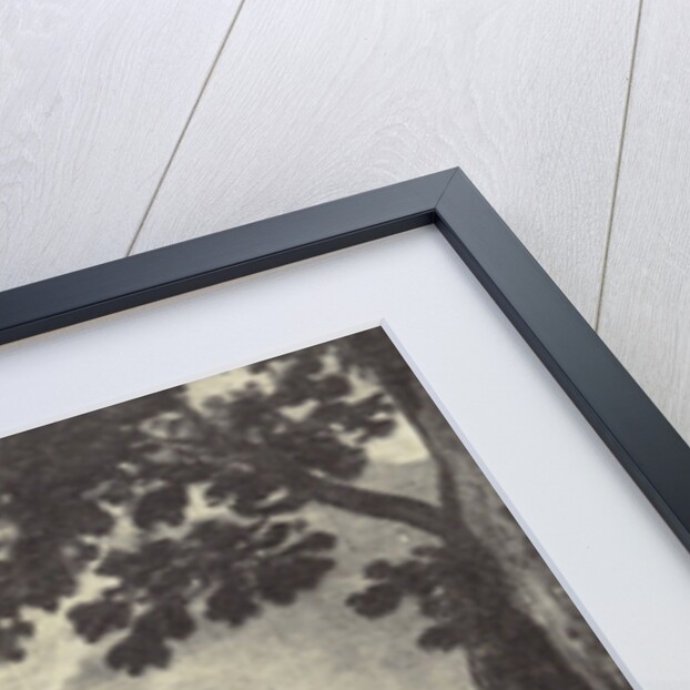 Isabella II Velazques, portrait of Charles V as a boy by Anonymous