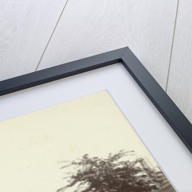 View of Leidse Gracht in Amsterdam by Anonymous