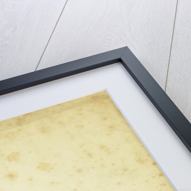 The Drommedaris in Enkhuizen by Anonymous