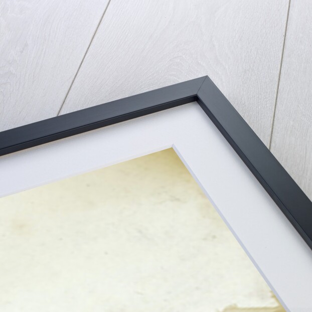 Station Square in Haarlem by Anonymous