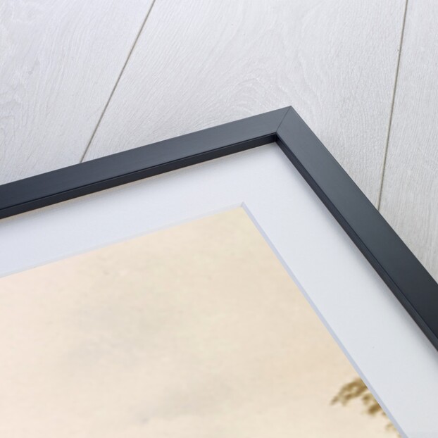 View Reims France by Trompette