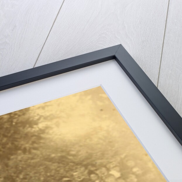 Group portrait of young people in a forest during a group outing by Anonymous