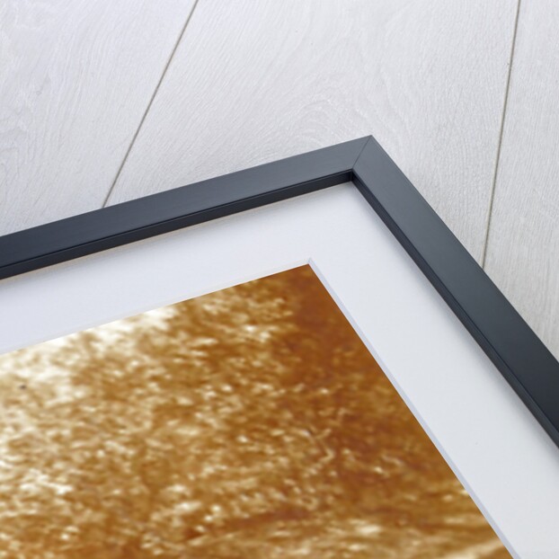 Three women sitting in a forest near a path by Anonymous