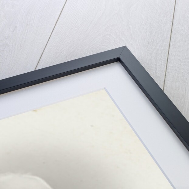 Portrait of Jhr. F. H. van de Poel by S.A. Schotel