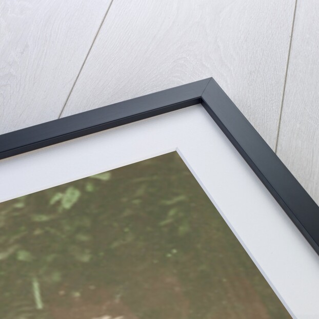 Portrait of a boy by C. Röntgen