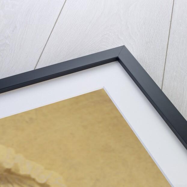 Studio Portrait of a toddler with doll and cap by Anonymous
