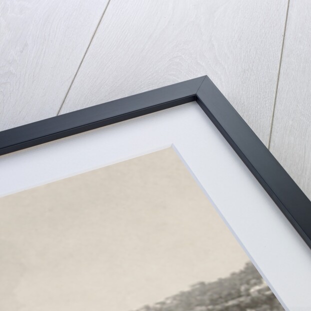 Niagara Falls, Noël Marie Paymal Lerebours, Rittner & Goupil by Hector Bossange