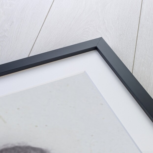 Studio Portrait lady with necklace, bust by J.L.T. Huijsen