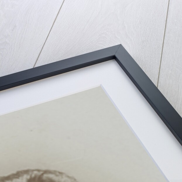 Studio portrait of young woman by Josephus Hendrikus Petrus Coppens