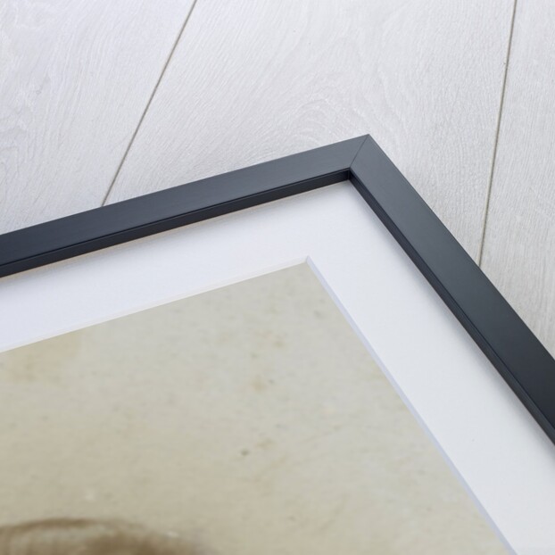 Studio Portrait of woman, bust by Josephus Hendrikus Petrus Coppens