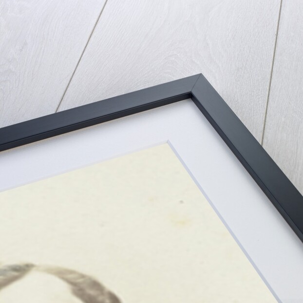 Portrait of F.C. Donders, professor in the Faculty of Medicine at the University of Utrecht by Abraham A. Vermeulen