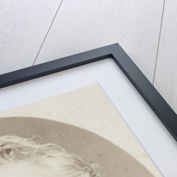 Portrait of Professor P. Hofstede de Groot by Anonymous