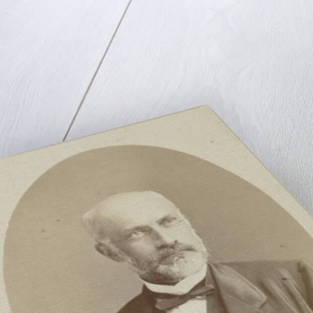 Portrait of Professor D. Herz by Anonymous