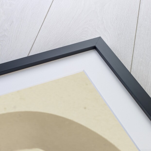 Portrait of Professor D. Herz by Anonymous