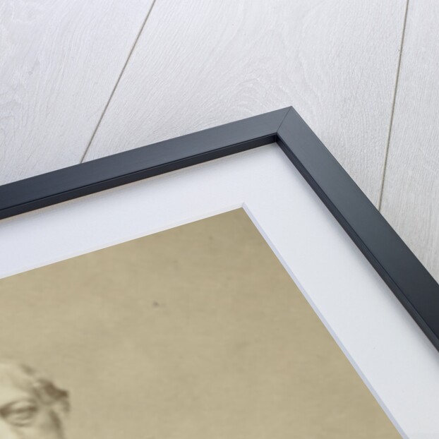 Portrait of Professor C. J. Matthes by Anonymous