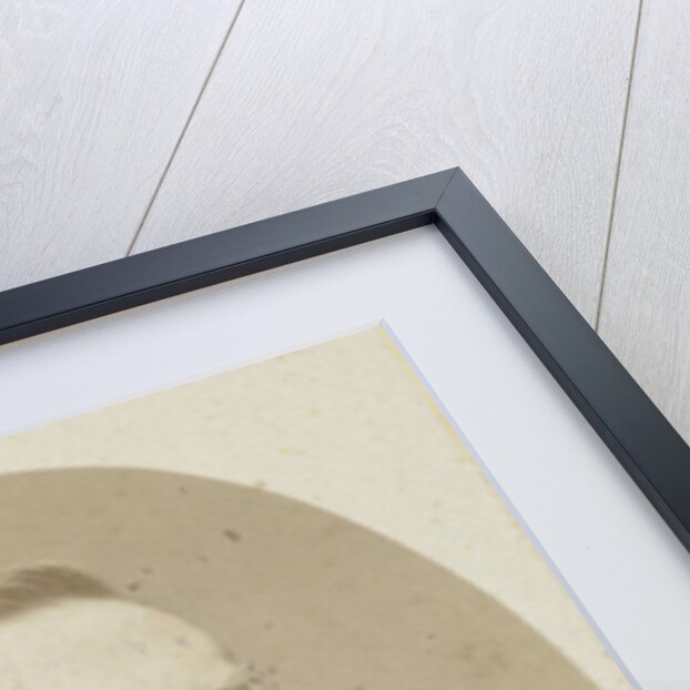 Portrait of Professor W. Modderman by Anonymous