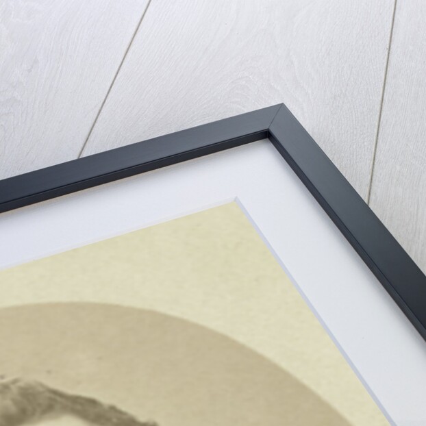 Portrait of J, . Tideman, professor in Amsterdam by Anonymous