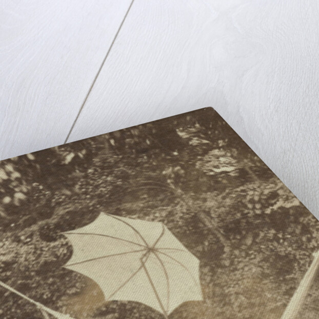 Portrait of a woman in a hammock with a parasol by Anonymous