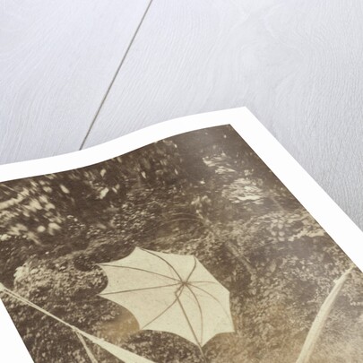 Portrait of a woman in a hammock with a parasol by Anonymous