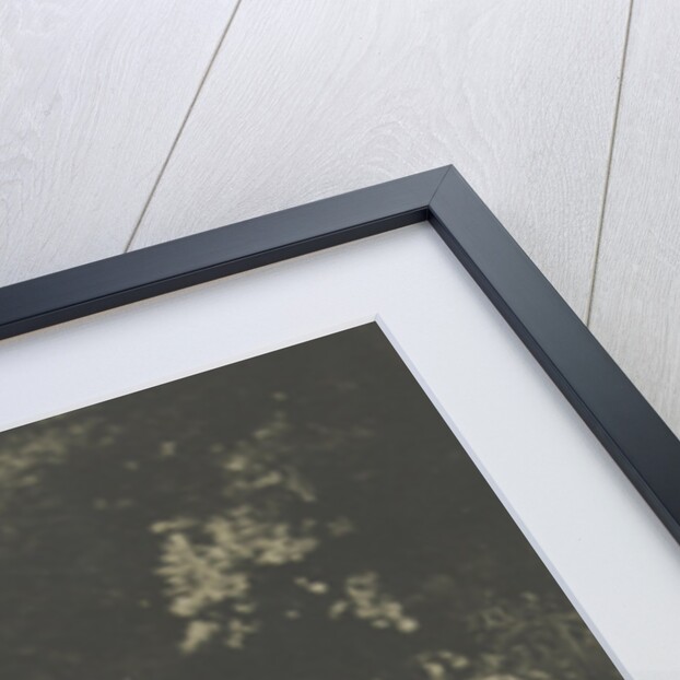 Woman with a dog in a garden by Anonymous