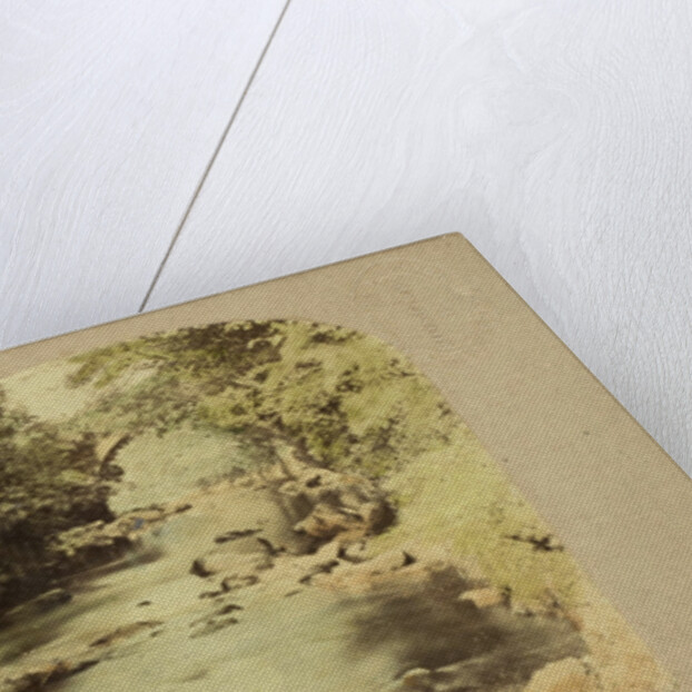 Dargle Bridge, County Wicklow, Ireland by The London Stereoscopic Company