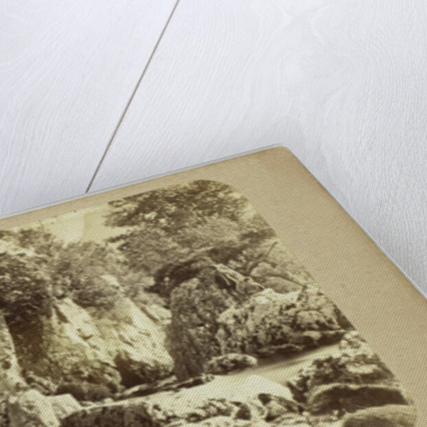 Scene near Bettws-y-Coed by Goodman