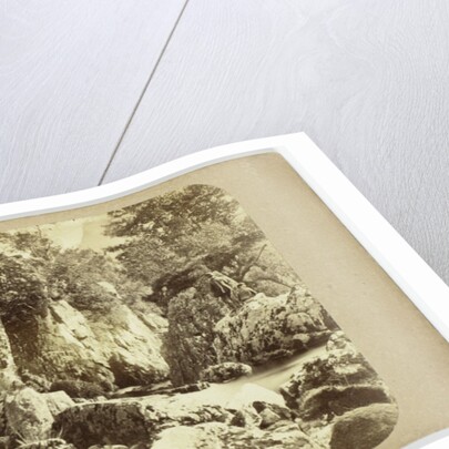 Scene near Bettws-y-Coed by Goodman