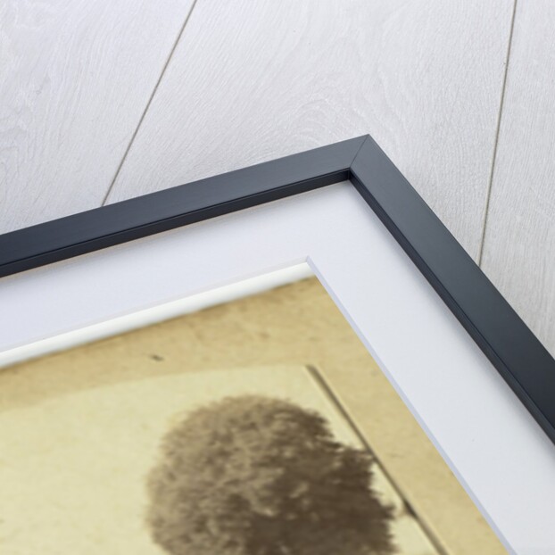 Reserves Gardens, Staircase of the esplanade of the castle, near the orangery by Anonymous