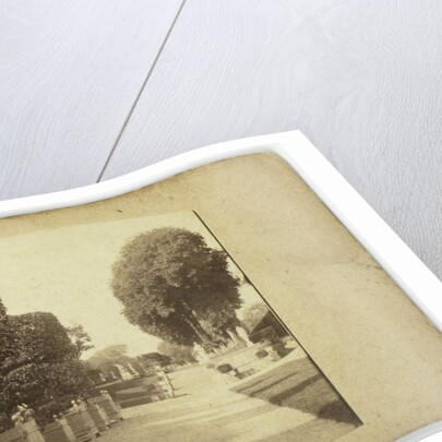 Reserves Gardens, Staircase of the esplanade of the castle, near the orangery by Anonymous