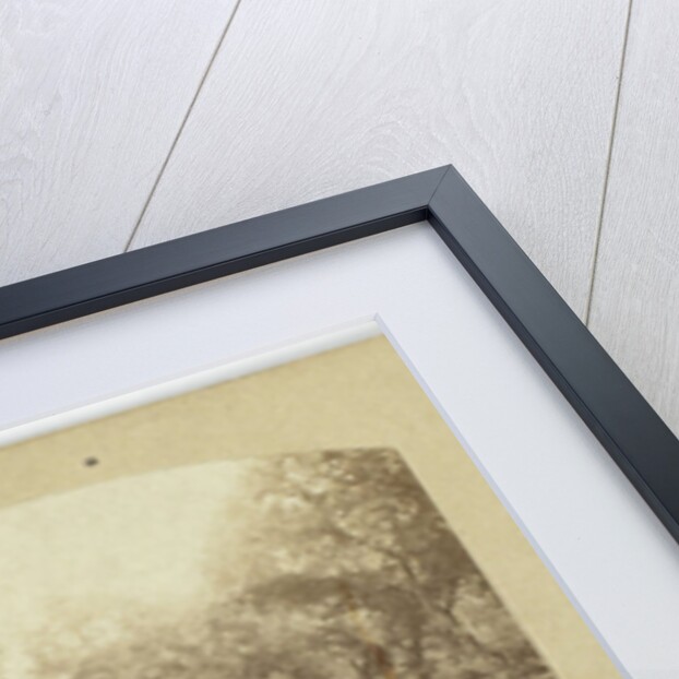 Jardins Reserves, Rond-point du Centaure, France by Henri Tournier