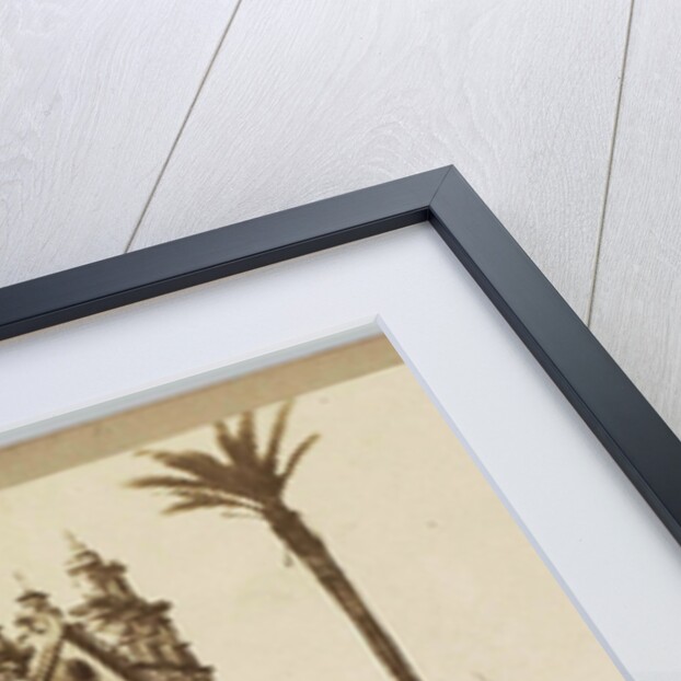 Alameda Apodaca in Cadiz Spain by Anonymous