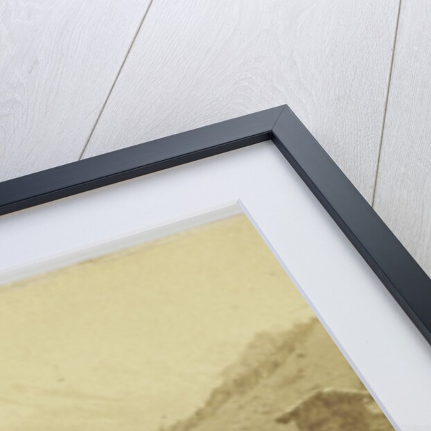 Mürren, Switzerland by Adolphe Braun