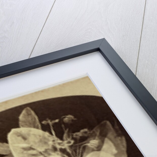 Beautiful in Death by The London Stereoscopic Company